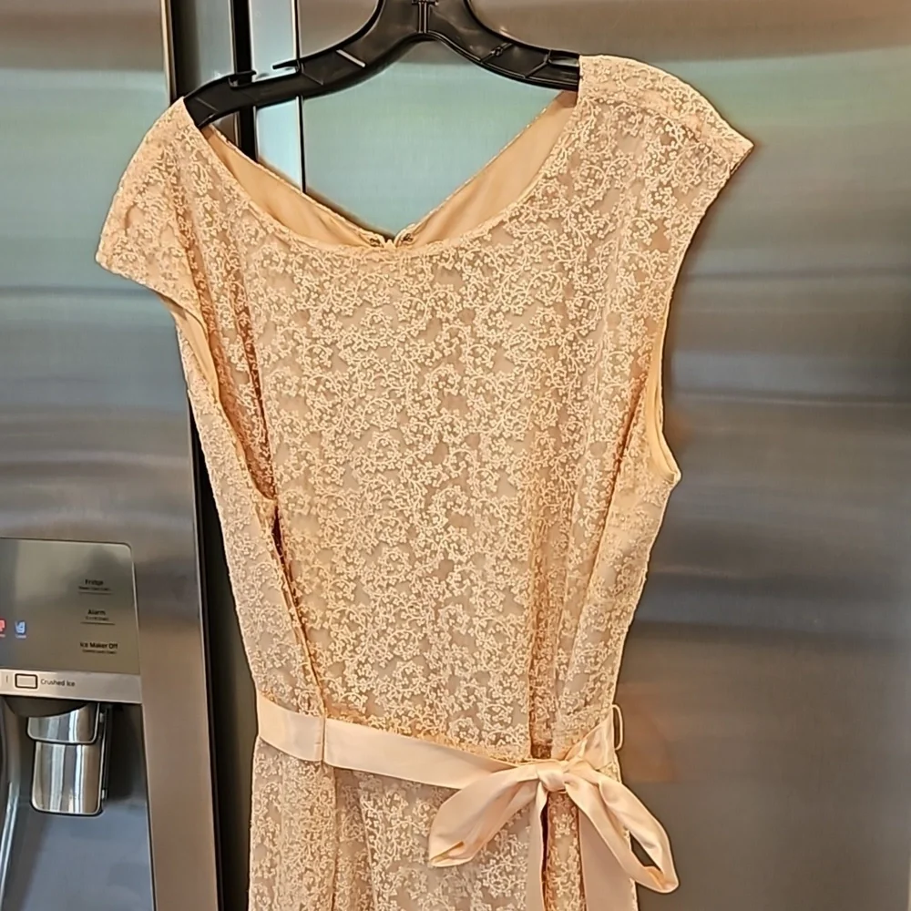 💕TAHARI by ASL💕 Glitter Lace Trim Metallic Ribbon Belted Dress Light Pink 18W - Picture 9 of 14